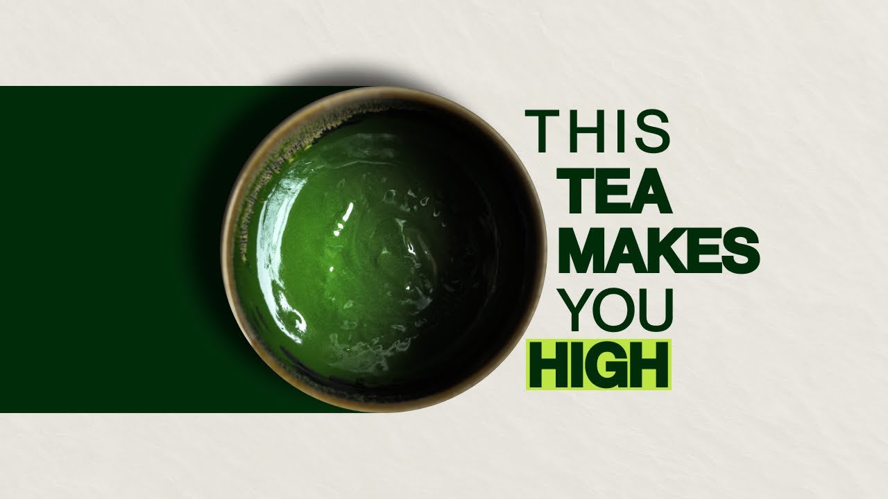 A Tea That Makes You High? All About Koicha