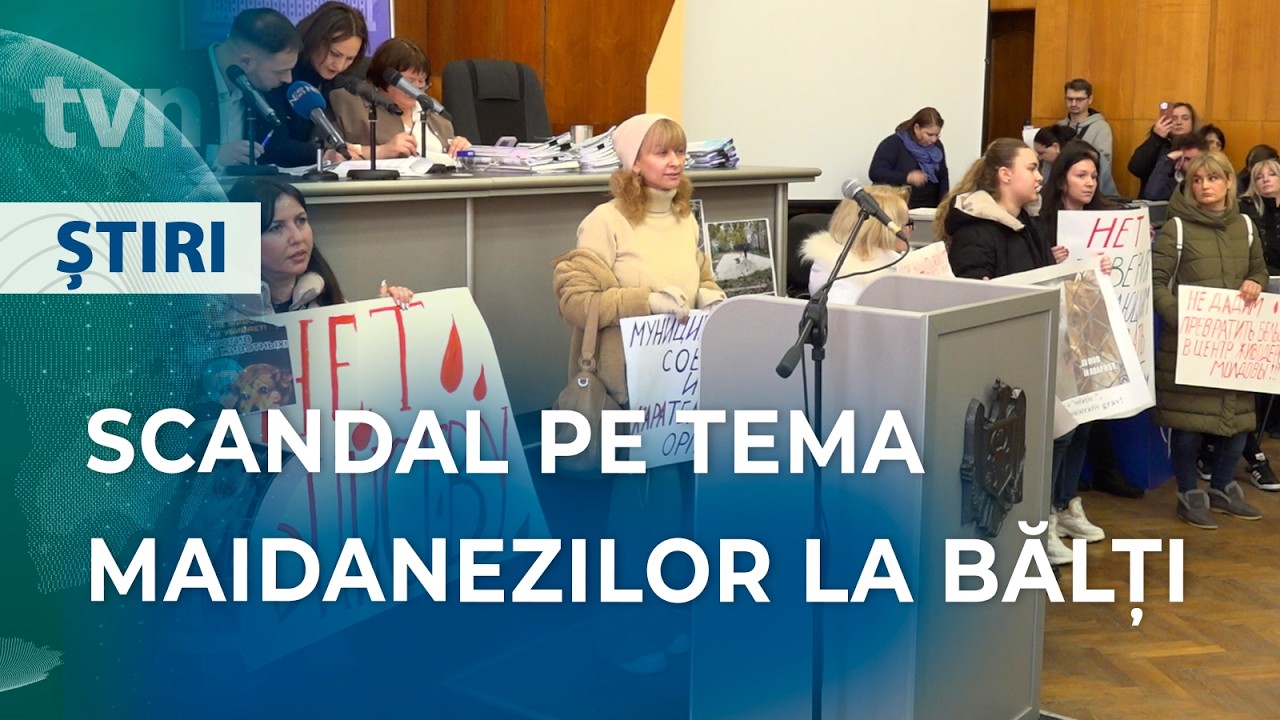 CÂINII MAIDANEZI ÎMPART BĂLȚIUL ÎN DOUĂ
