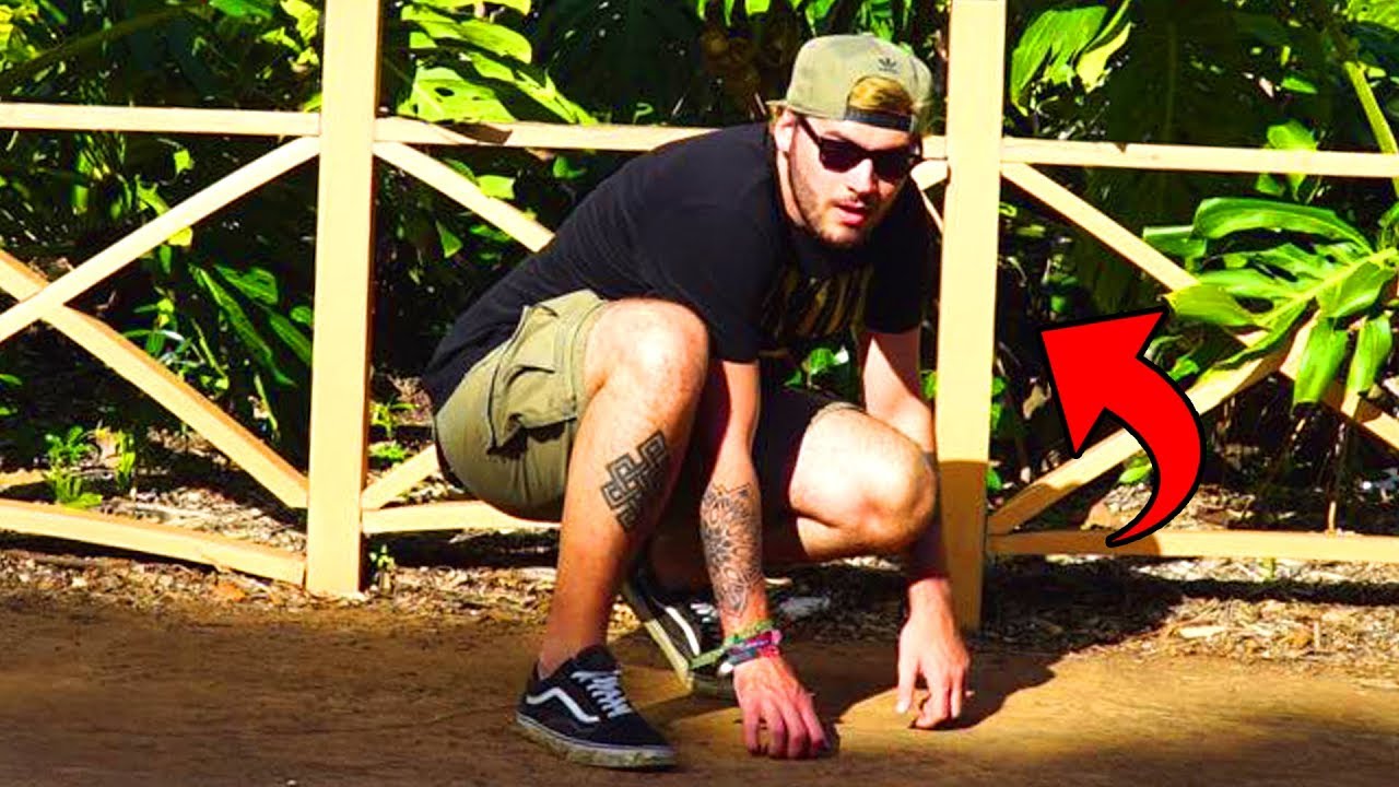 EINEN ZOO BESUCHEN auf HAWAII?!