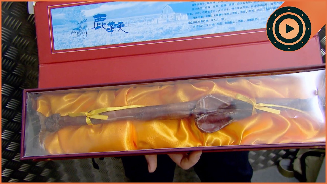Catching The Most Dangerous Illegal Imports At The Border