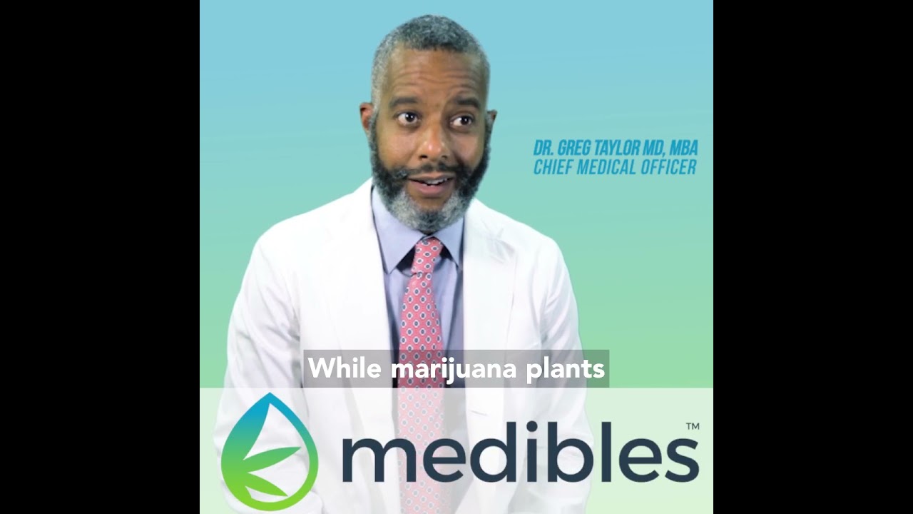 02 What is the difference between CBD and THC