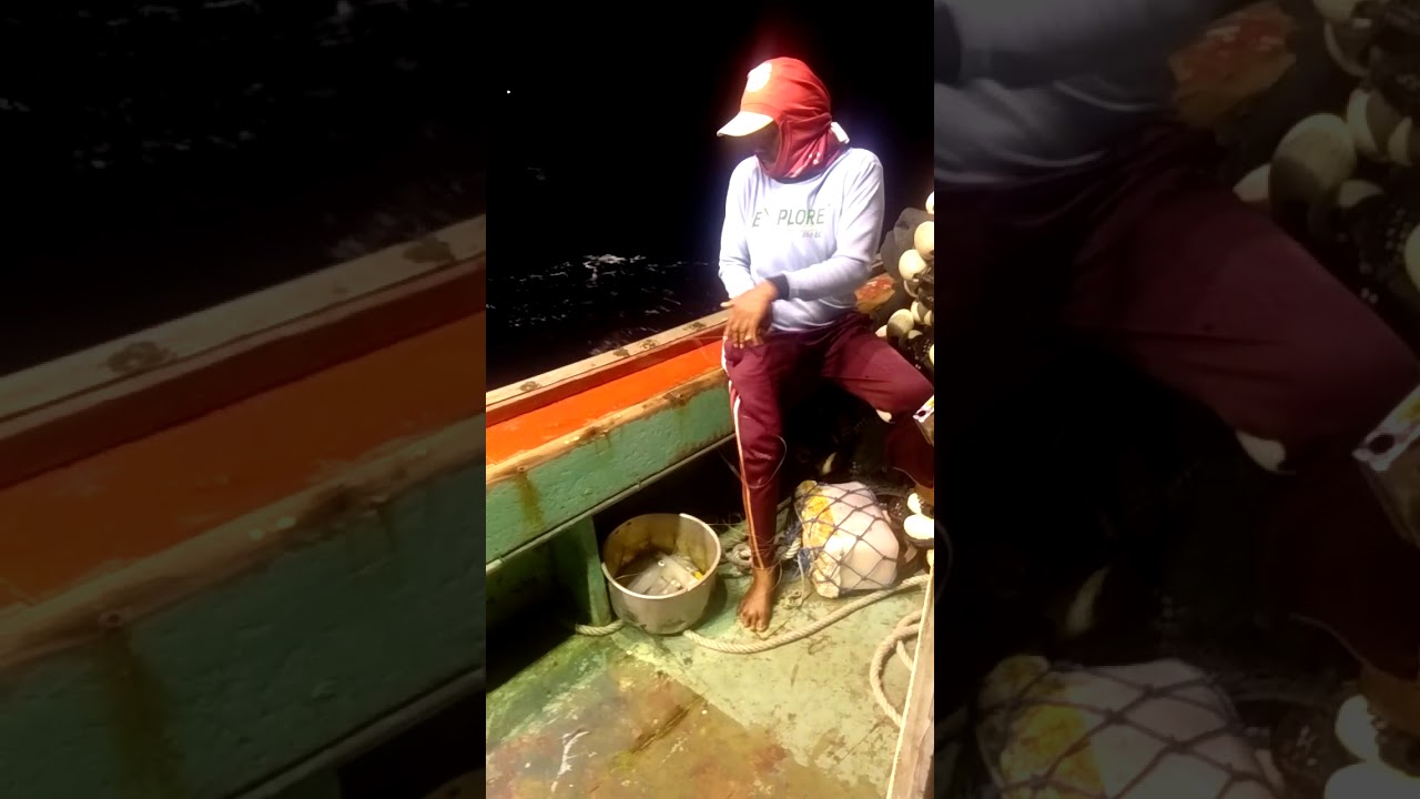 Trik mancing cumi,biar dapat banyak,,,,