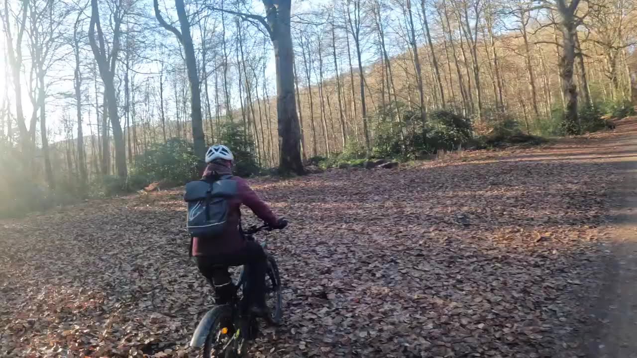Traum Tour um den Lohrberg Siebengebirge-KULTUR-RAD-TOUREN.