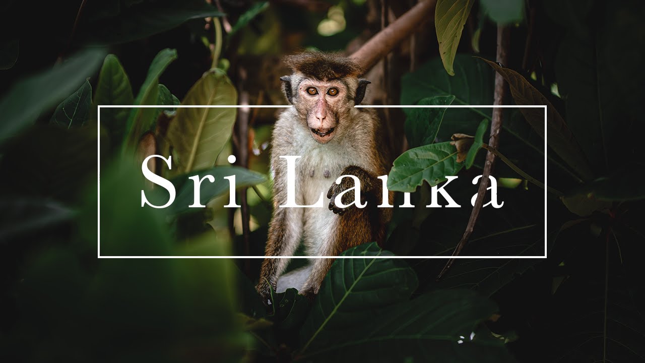 Sri Lanka - Cinematic Video 4K