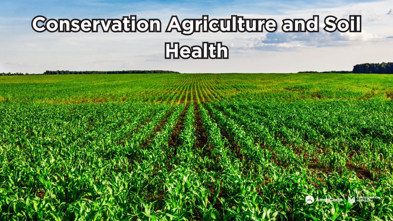Conservation Agriculture and Soil Health