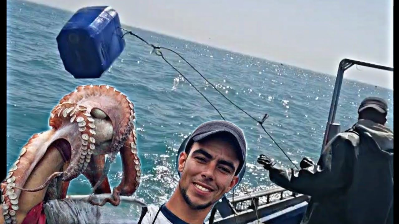 شاهد البحارة كيف يبنون الفخ لي الأخطبوط🐙🇲🇦Sailors watched how to build a trap for me octopus