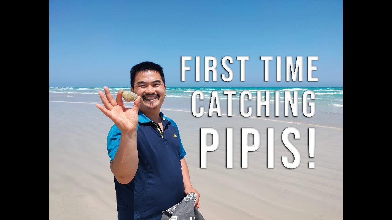 First time catching pipis