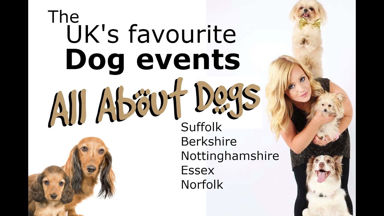 All About Dogs Show 2018