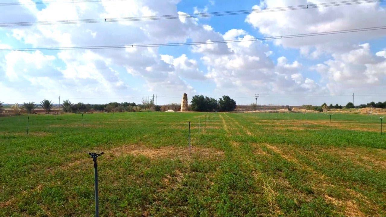 مزرعة انتاج حيواني مجهزة مواشي و اغنام 8.5 فدان في وادي النطرون طريق مصر اسكندرية الصحراوي
