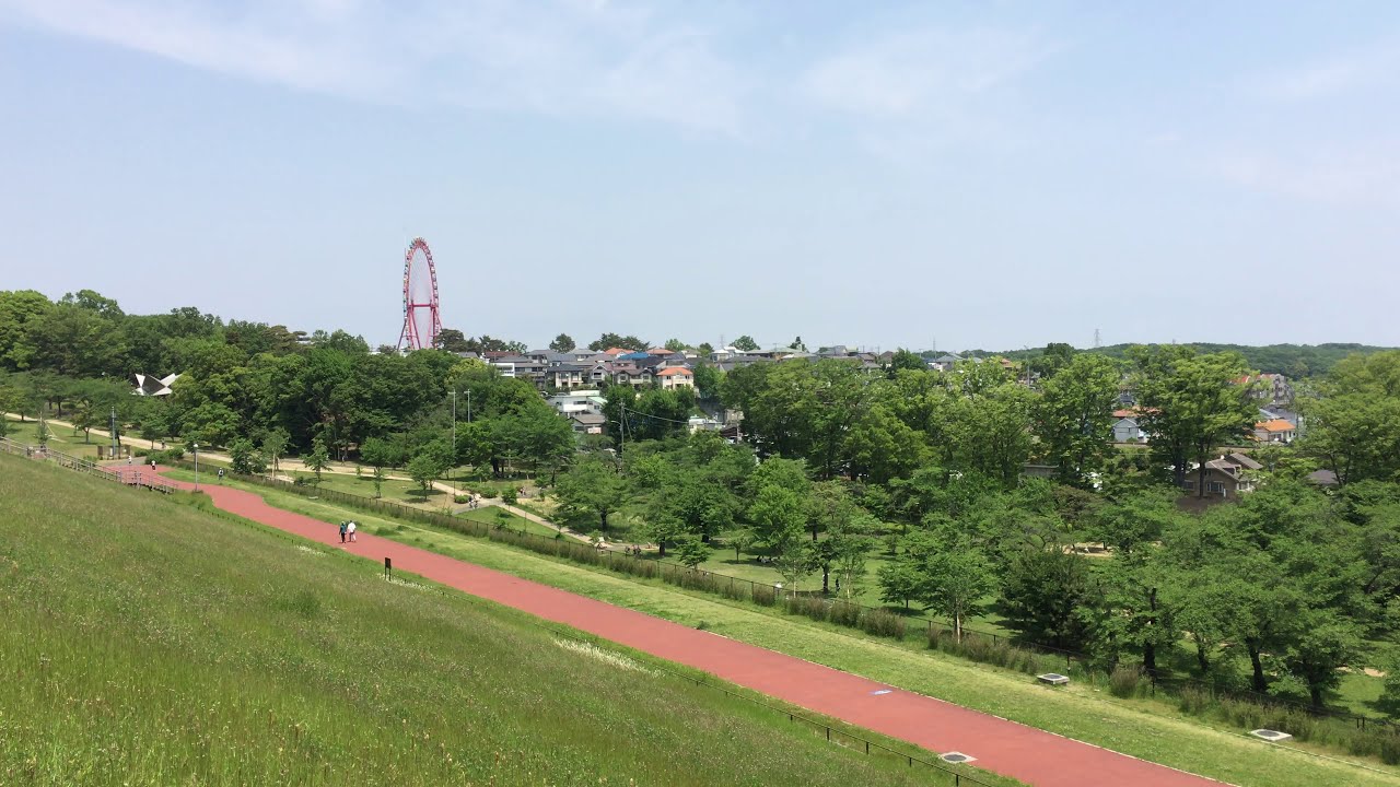 A view of Sayama Park and Higashimurayama-shi from Tamako Lake in mid-May