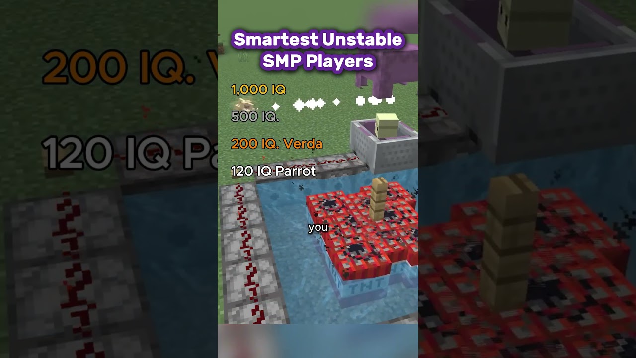 Unstable SMP Smartest Players