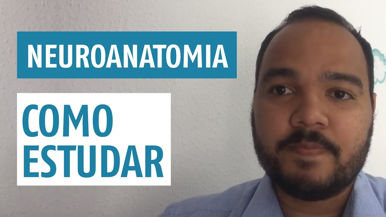 Neuroanatomia - Como estudar ?