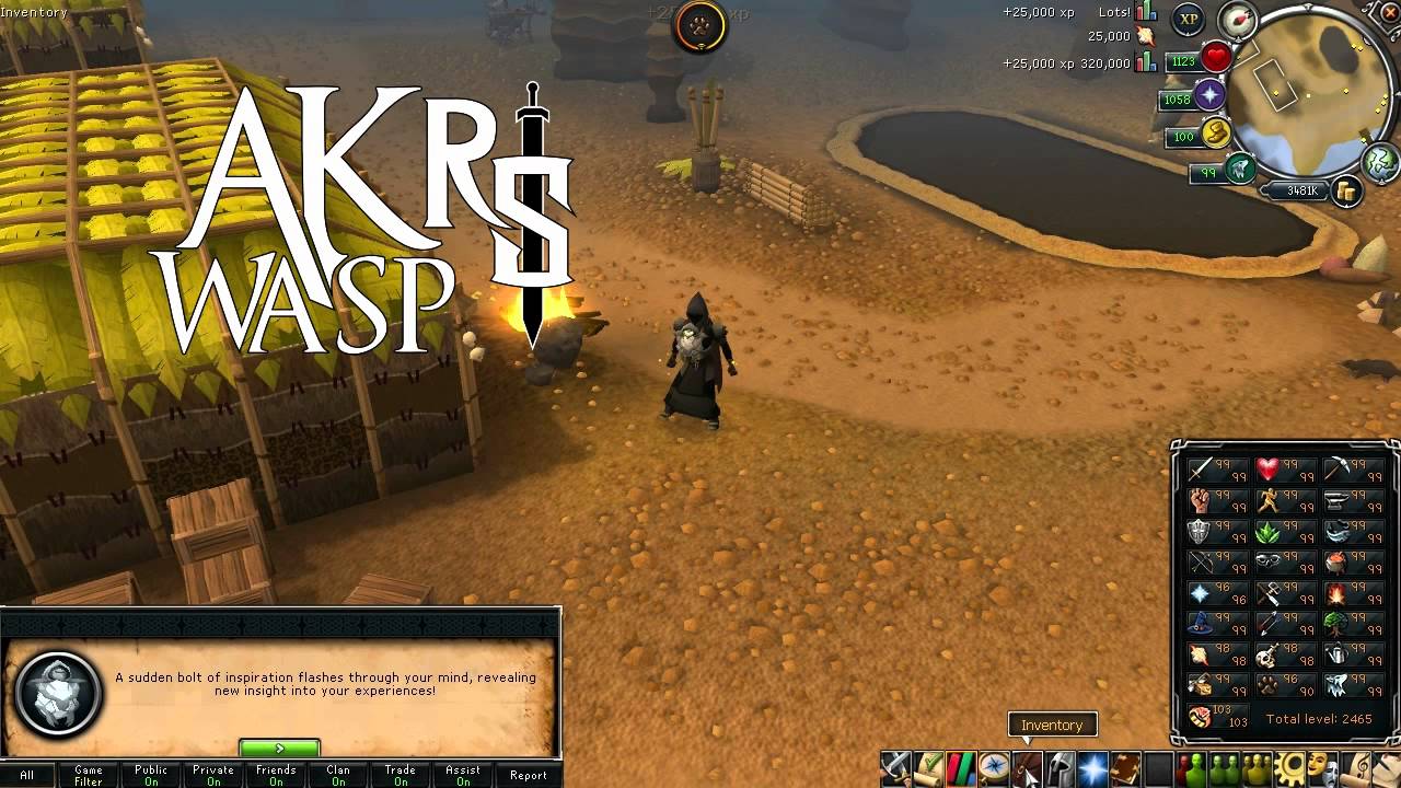 Birthday Bonus! Effigy Opening! 1M+ XP, 600k RC, 91 Hunter - Runescape AKwaspRS