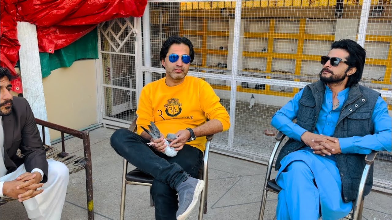 Champion Ustad Adnan khan k shagird Ustad Babar Awan ki chat ka visit 🥰 | Dar pigeons club |
