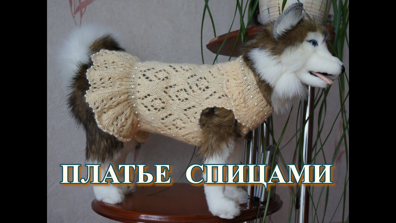 Платье для собаки или кошки. Как вплести бусины в изделия.
