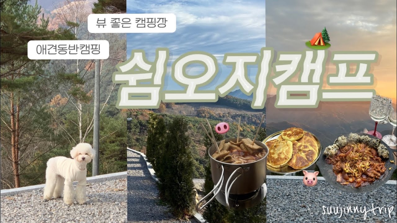 예약하기 그렇게 어렵다는 쉼오지캠프 별사이트ㅣ영월애견동반캠핑ㅣ뷰좋은캠핑장ㅣ차돌콩불에 호떡만들기 그리고 김치어묵우동ㅣ비바돔 좌식세팅