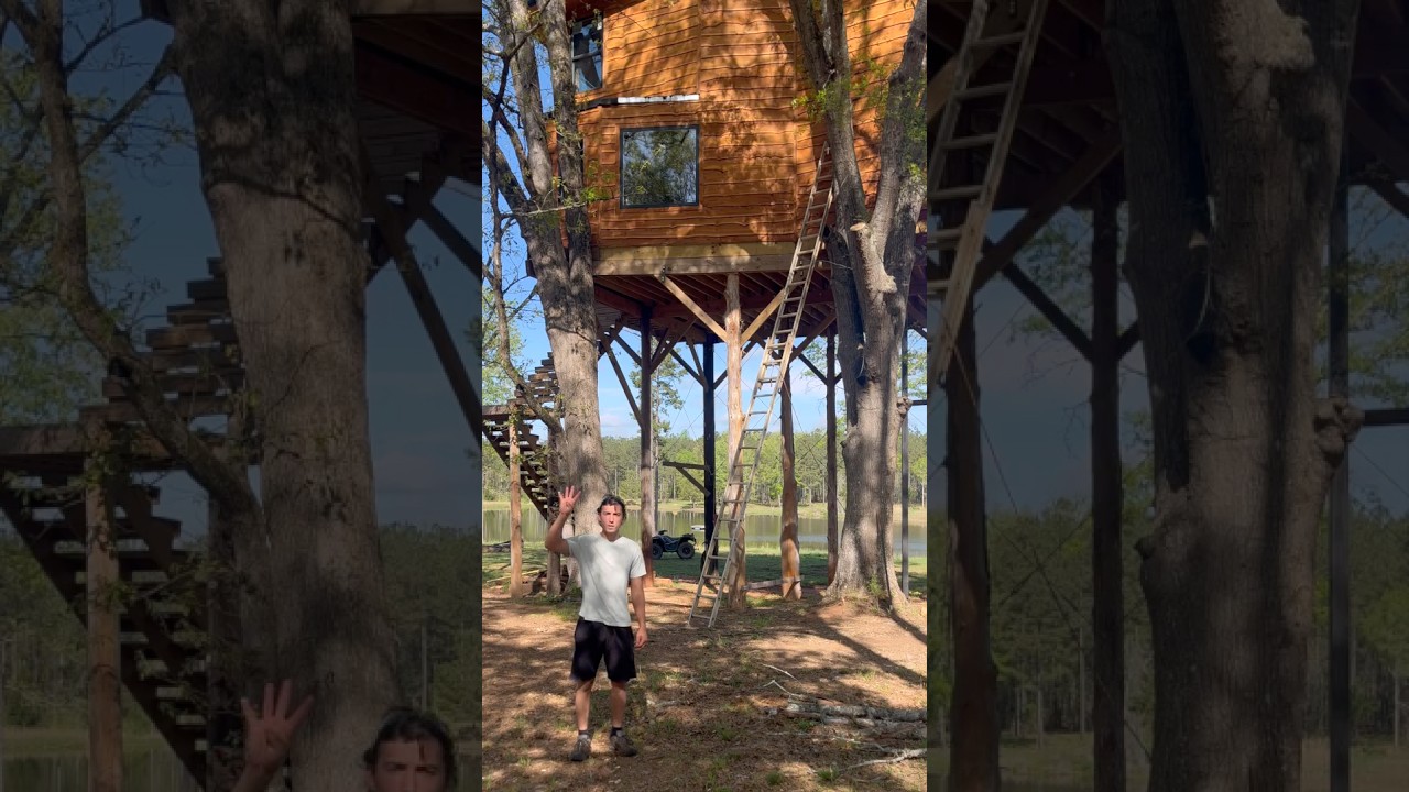 You're TRESPASSING - Treehouse Builder vs Code Enforcement