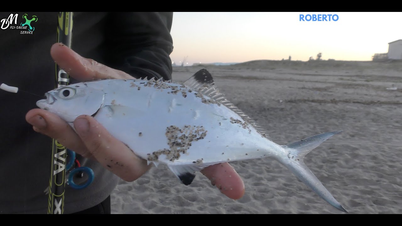 SURFCASTING - Azione di pesca a galla