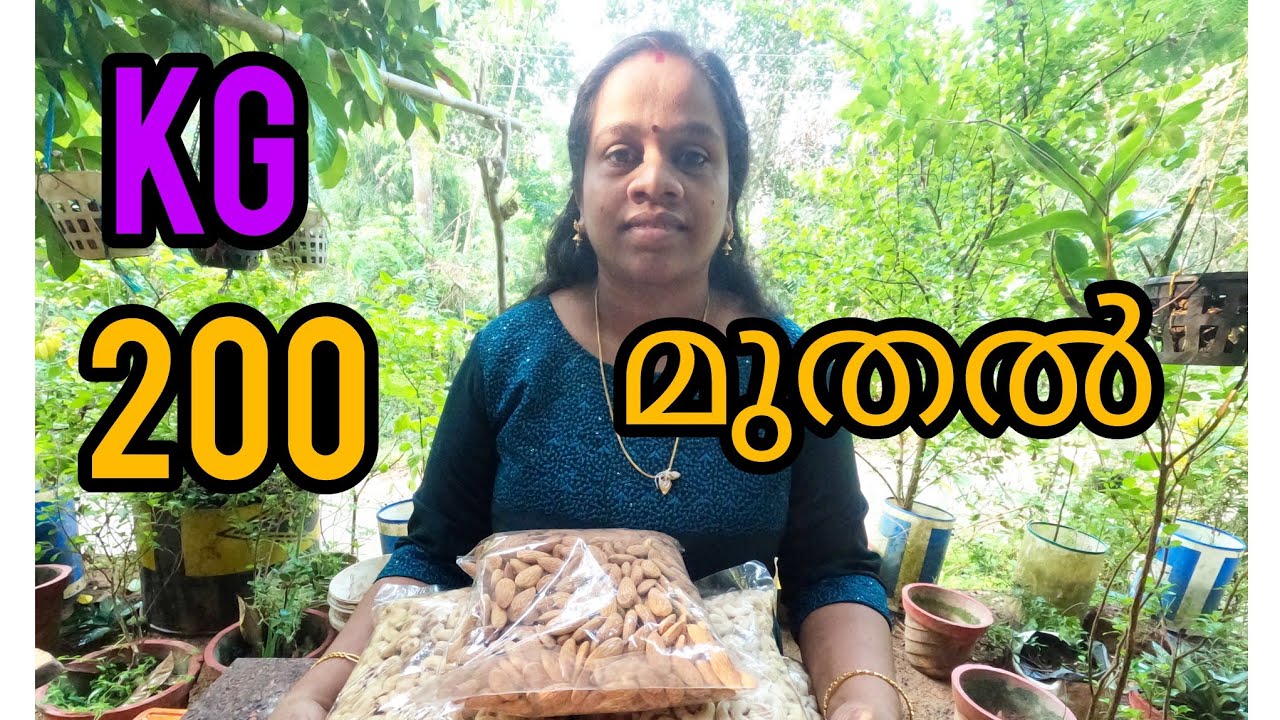 ഒരു kg വെറും 200 രൂപ മുതൽ. സാധാരണപ്പെട്ട ആളുകൾക്കും ഇനിമുതൽ ഇത് വാങ്ങി കഴിക്കാം