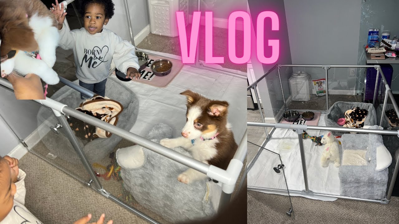 VLOG | Brooklyn’s ClearlyLoved Play pen, Puppy Update & More 🐾💓