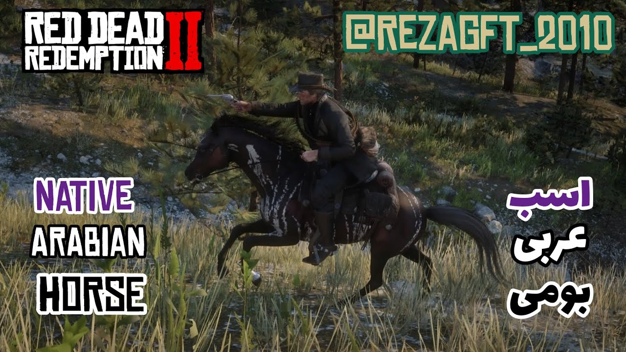 اسب عربی بومی 🔥🐎 | Native Arabia Horse | Red Dead Redemption 2