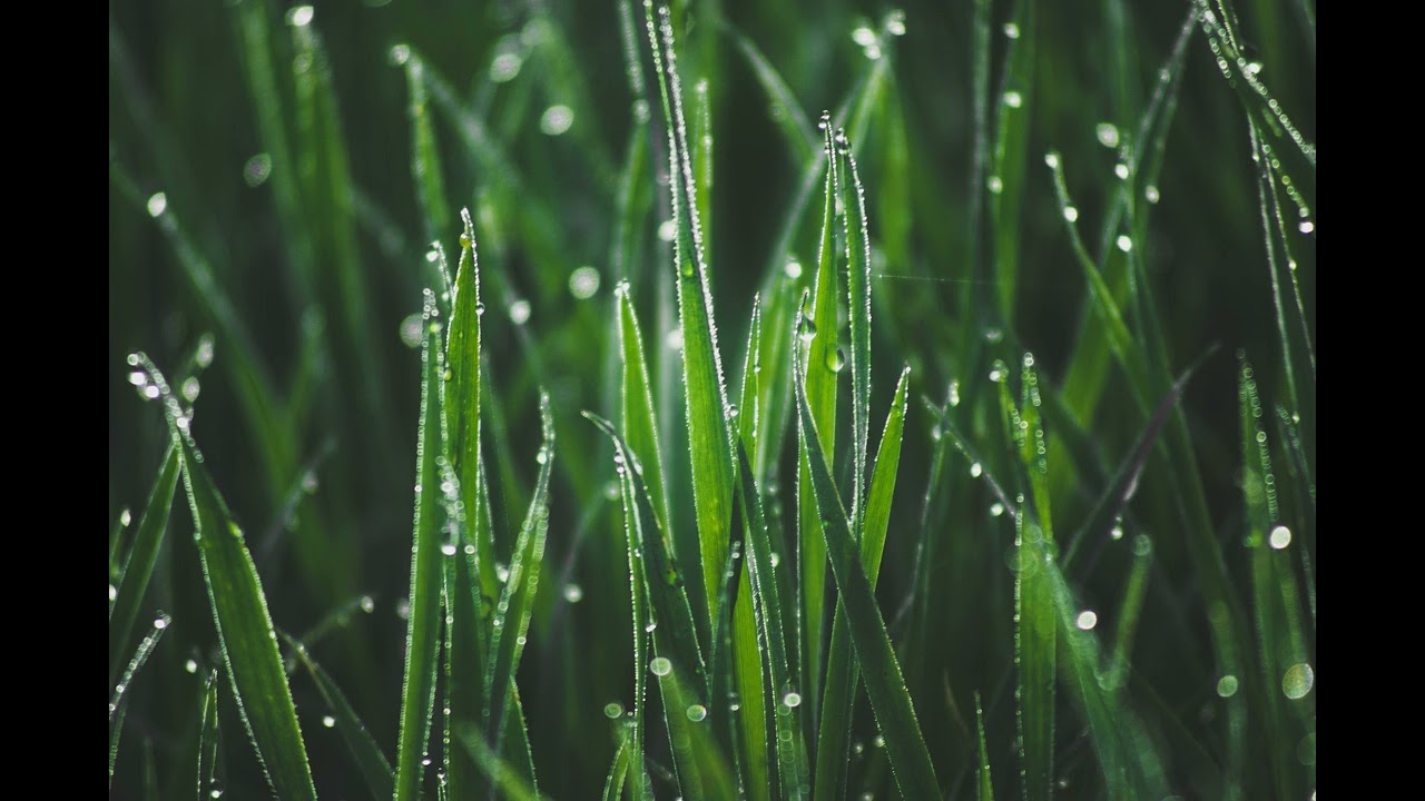 Morning Meditation Poem: Begin Again