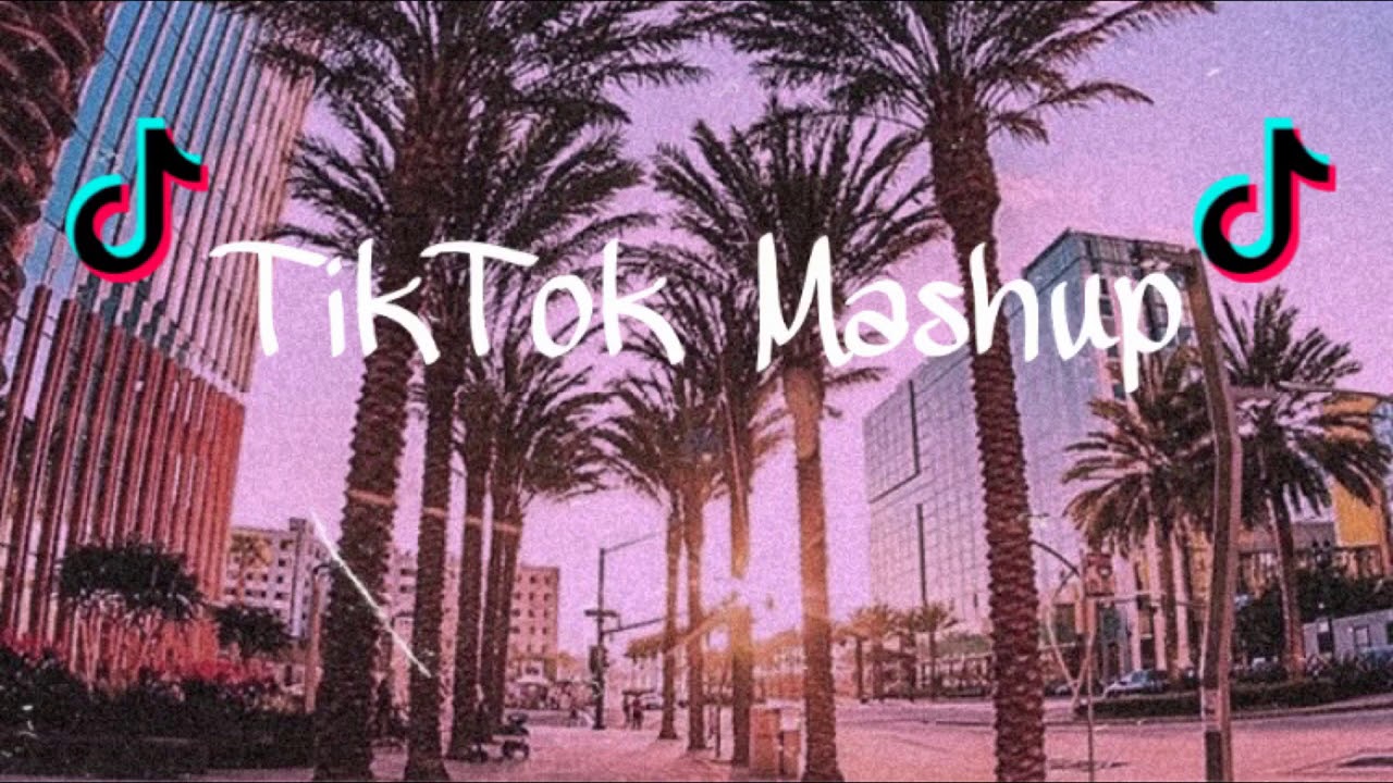 Tik Tok Mashup #24(not clean) 🖤