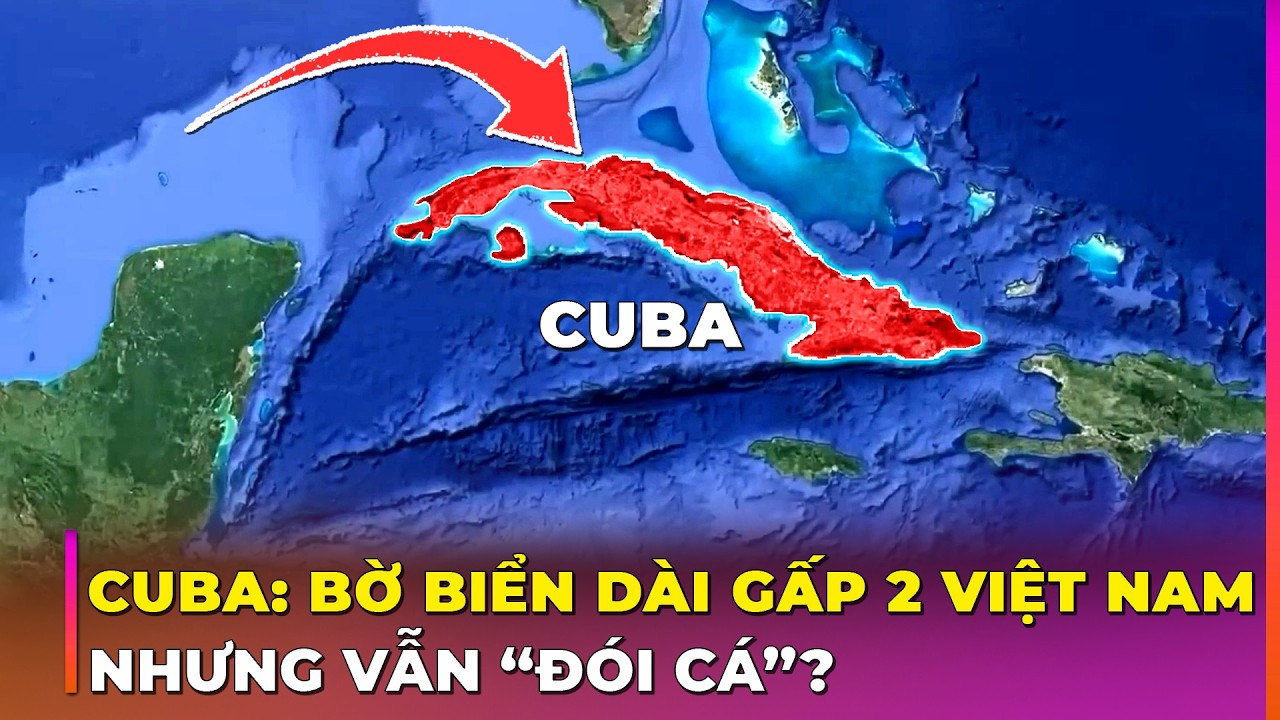 NGHỊCH LÝ CUBA: CÓ 5700 KM BỜ BIỂN NHƯNG VẪN THIẾU CÁ ĂN | Ghiền Địa Lý