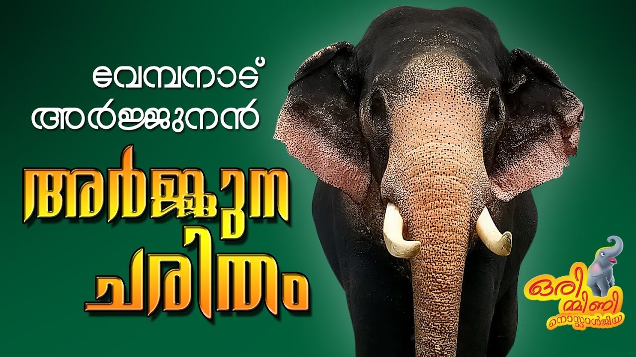 വേമ്പനാട് അർജ്ജുനൻ || VEMBANADU ARJUNAN