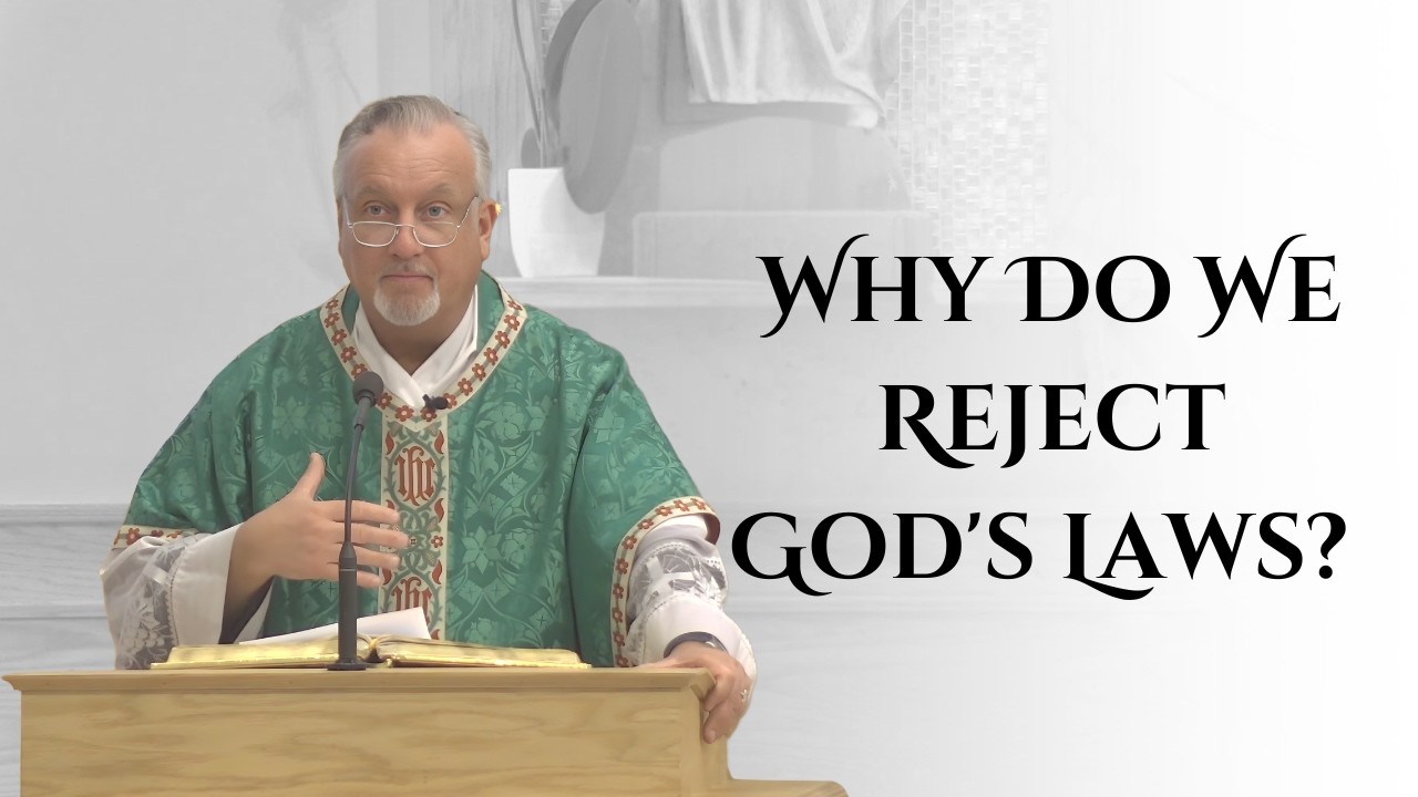 Why Do We Reject God's Laws? | 6th Sunday in Ordinary Time | Fr. Dan Reehil
