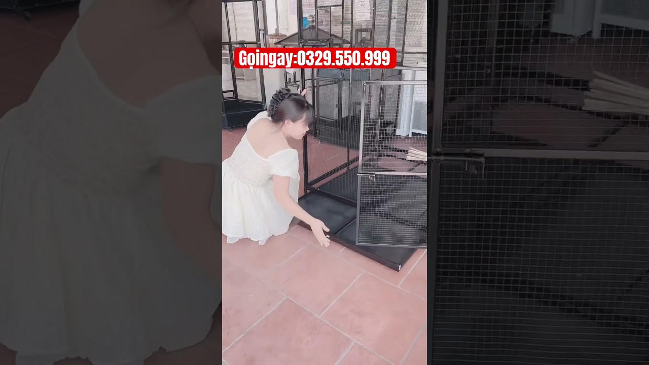 Avi nu&ocirc;i chim si&ecirc;u khủng lồ&hellip;. Vừa to lại đẹp&hellip;!!