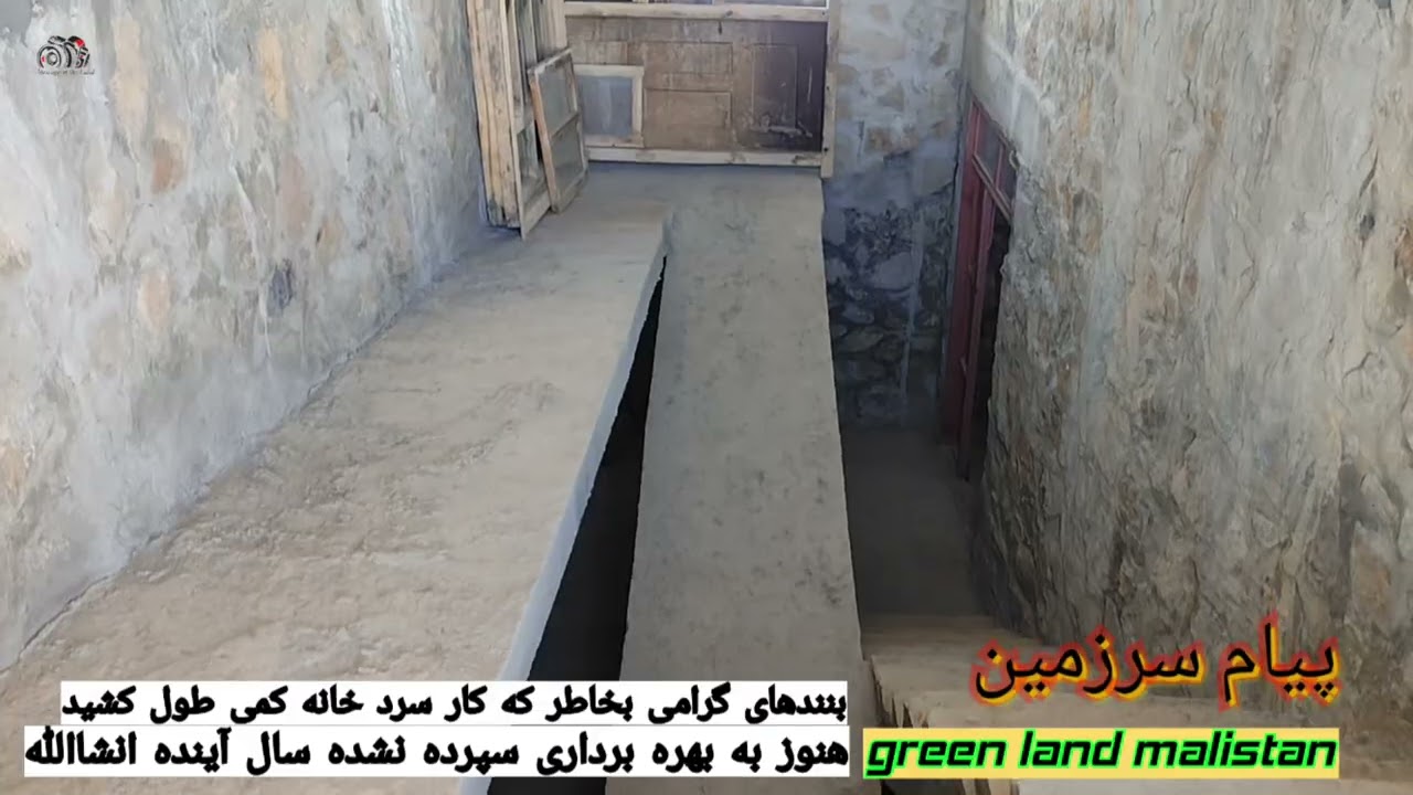 ۱۱ فوریهٔ ۲۰۲۶