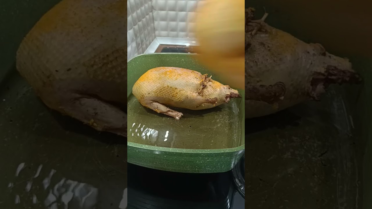 ۱۴ فوریهٔ ۲۰۲۶