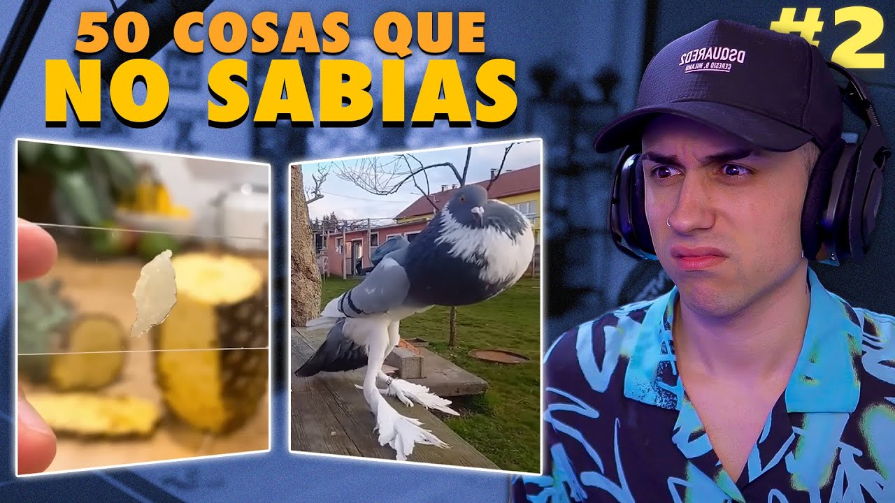 50 Cosas que NO SABIA hace 5 minutos [#2] - Imantado