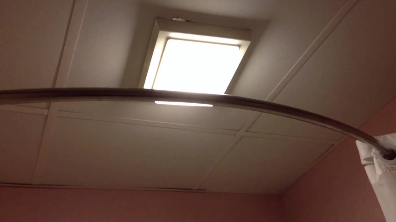LOUD! Aubrey exhaust fan. (And a heat lamp).