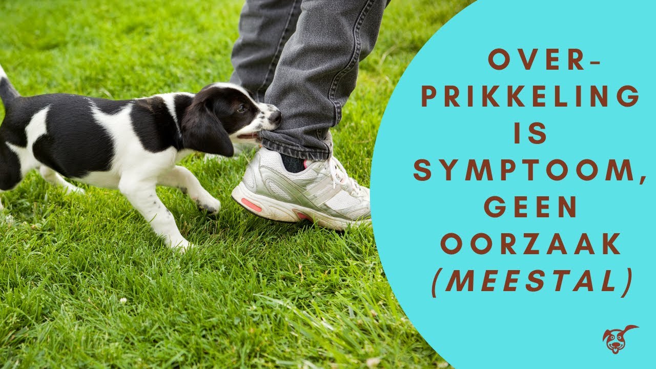 Overprikkeling is een symptoom, geen oorzaak (meestal)