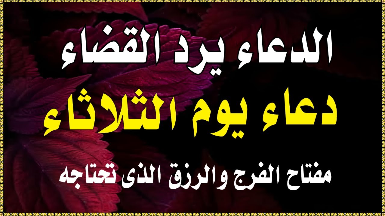 اعظم دعاء في صباح  يوم الثلاثاء للرزق والفرج وقضاء الحاجة💚يفتح لك الابواب المغلقة ويرزقك رزقا كثيرا