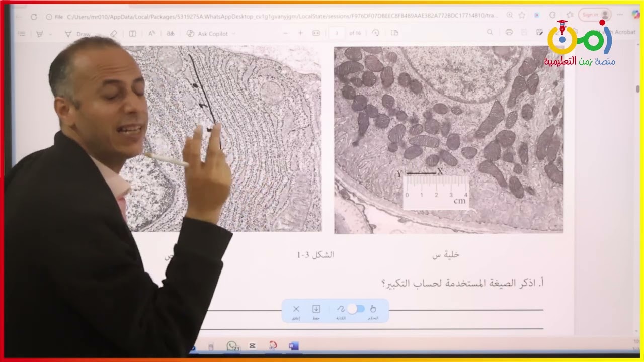 الصف الثاني عشر علوم بيئية - مراجعة ليلة الامتحان - منصة زمن التعليمية - أ:محمود المداح