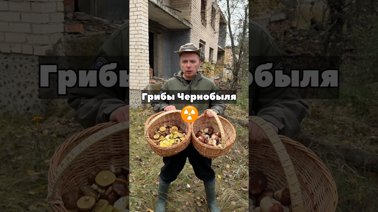 Превышение РАДИАЦИИ ☢️ в 100 раз! Грибы ЧЕРНОБЫЛЯ!