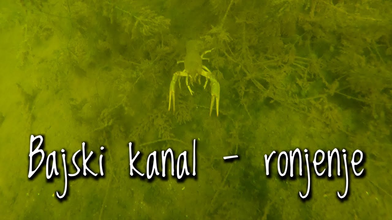 Ronjenje u Bajskom kanalu, ekocentar Karapandža