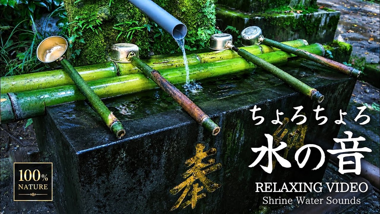 ASMR: Soft Flowing Water at a Shrine | Relaxing Sounds