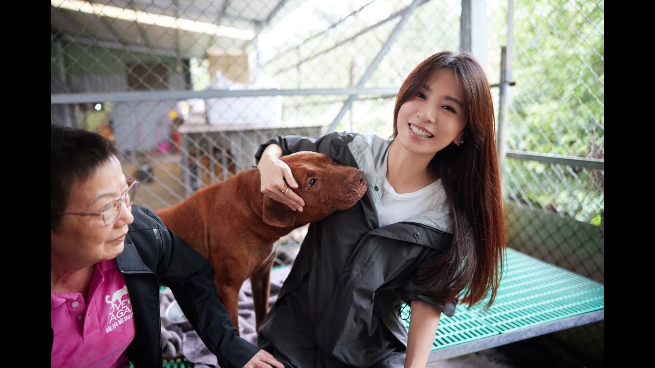 田馥甄領養的第一隻狗「田蹦」-2022愛最大 [ 張媽媽流浪動物救助計畫 ]