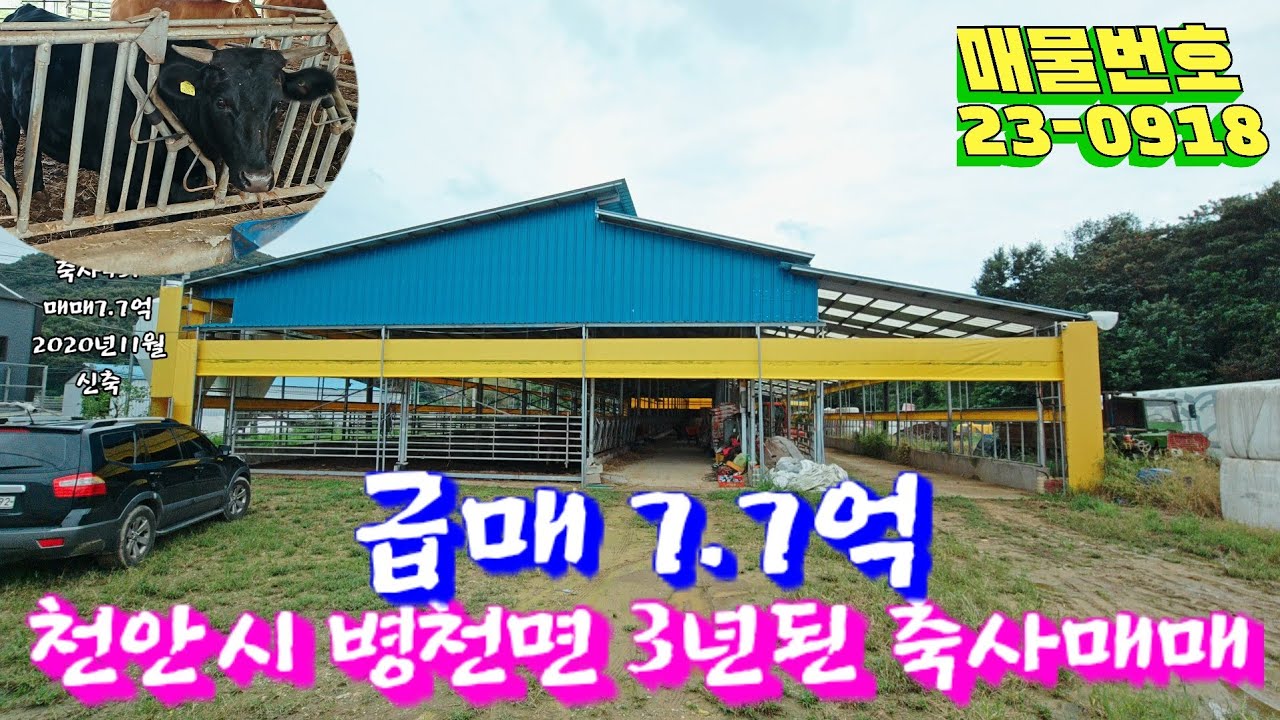 천안 병천면 3년도 안된 축사를 저렴하게 매매합니다 처음 시작하시는 분 소규모로 소 키워보실 분