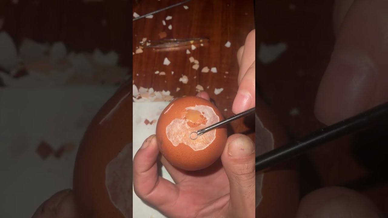 Raw Egg Peeling Challenge #58 #egg #funyvideo #satisfying