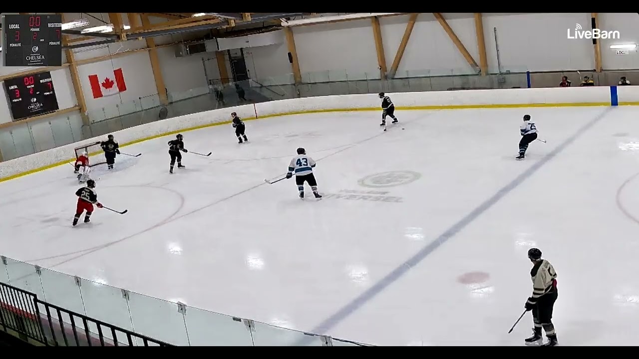 Morning Wood Hockey 2026 01 10