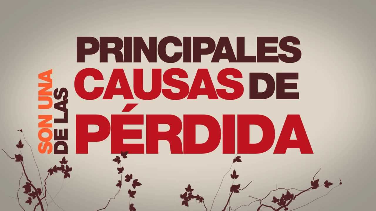 Especies ex&oacute;ticas invasoras