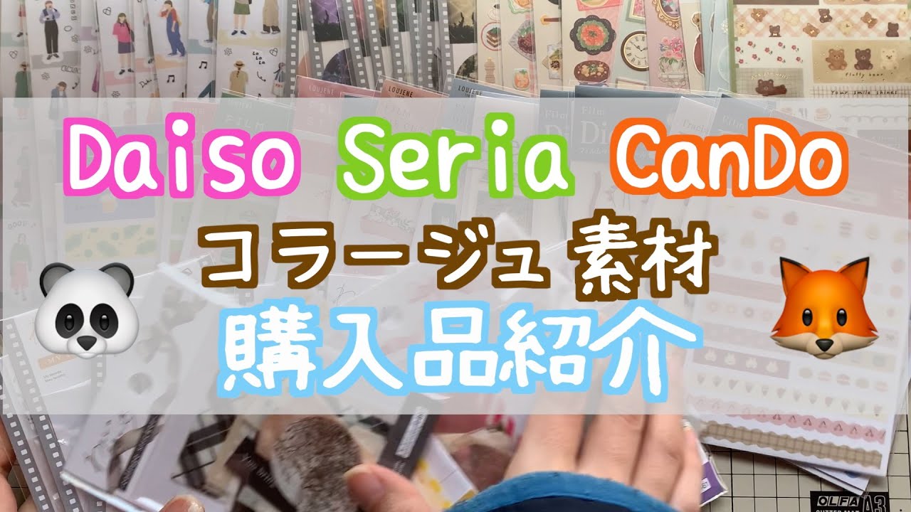 【Daiso・Seria・CanDo】購入品紹介 20240313【HAUL】ダイソー・セリア・キャンドゥ