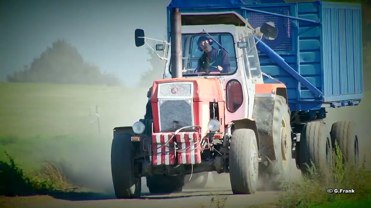 Fortschritt ZT 403 6 Zylinder Maishäckseln Landwirtschaftsbetrieb Großdrebnitz