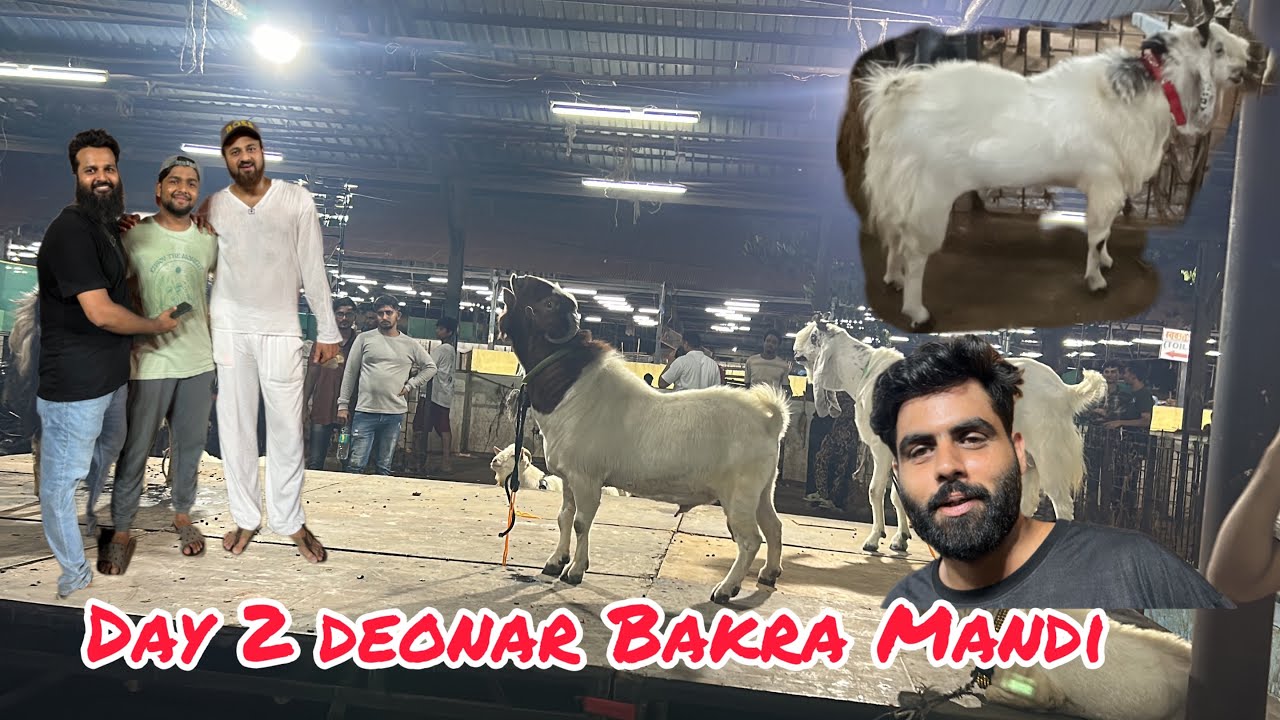 Day 2 Deonar Bakra Mandi 2024 || Latest update || BBK Goat Farm in deonar