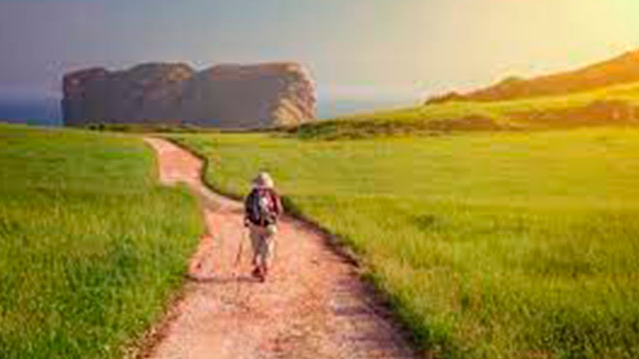 En el camino aprendí